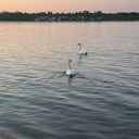 avatar °❀⋆.ೃ࿔*:･