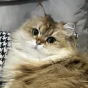 winniewoopi