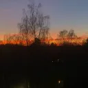 finedant3