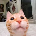 hainguyen_40449 avatar