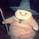 wonderhoy_sillypookie