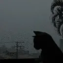.akuji._.