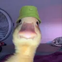 jhower93_71179 avatar