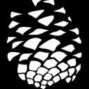 snowpine2481