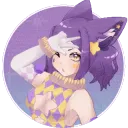 starry_vt2