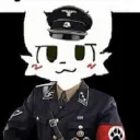 hankshdp avatar