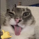 catnap.1231_42999 avatar