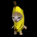 Аватар rainbowfrog112