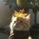 avatar BlueEcplise63