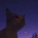 avatar BlueEcplise63