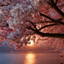 avatar Onlypositivvibes