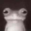 eaxitolis0 avatar