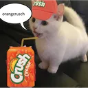 iamnograd