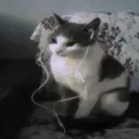 ctrlsam00