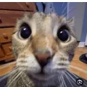 7h561 avatar