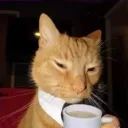 zz_tiba_20198 avatar