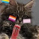 xpcl4zz1c_pl4yz_lm40xp