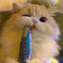 xxiao_0.0