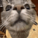 bimberlash
