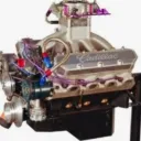 chihuahua0389 avatar