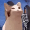 popcatstacks
