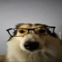 necap0w