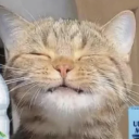 해인