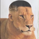 avatar zxcholodilnik