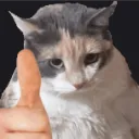 eisy___
