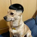 no1iswhoiam