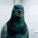 zeyvra_.