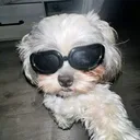 mr.wixxy