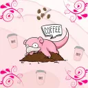 juhn_6669
