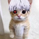 cutieboy52