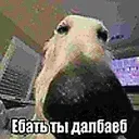 Аватар zxczvzvzv