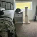 elliotb_zzz