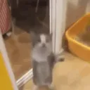zej0