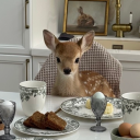 avatar flying derpy turtle