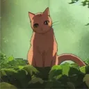 forest_true