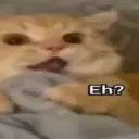 1cpufps