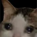 1cpufps