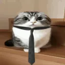 gooses_aregreat