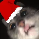 Аватар krepanidze