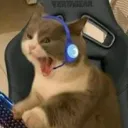peni_dominator_i_