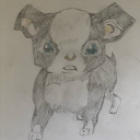 Trainer_468648