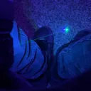 tron.6