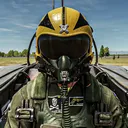 falconmasters