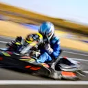 wolfonthetrack_