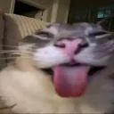 Joni69's Avatar