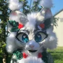theorangegato